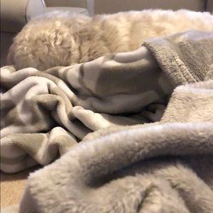 Meet your Posher, Christie